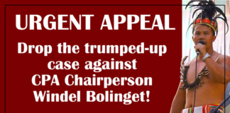 Drop the trumped-up case against CPA Chairperson Windel Bolinget!