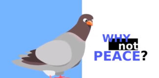 #WhyNotPeace