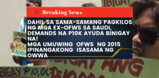 COLLECTIVE ACTIONS RESULTED TO THE INCLUSION OF OFW’s WHO REPATRIATED IN 2015 FOR THE OWWA P10K AYUDA